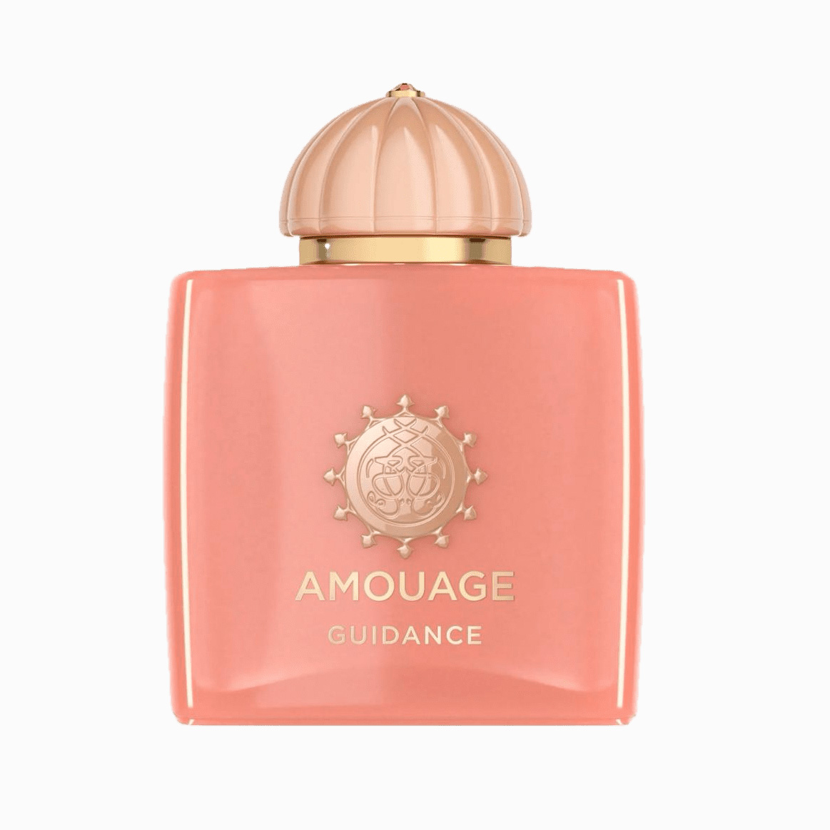 عطر ادکلن آمواج گایدنس | Amouage Guidance