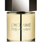عطر ایو سن لورن لهوم | YSL L’Homme